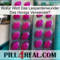 Wofür Wird Das Leopardenwunder Des Honigs Verwendet 10